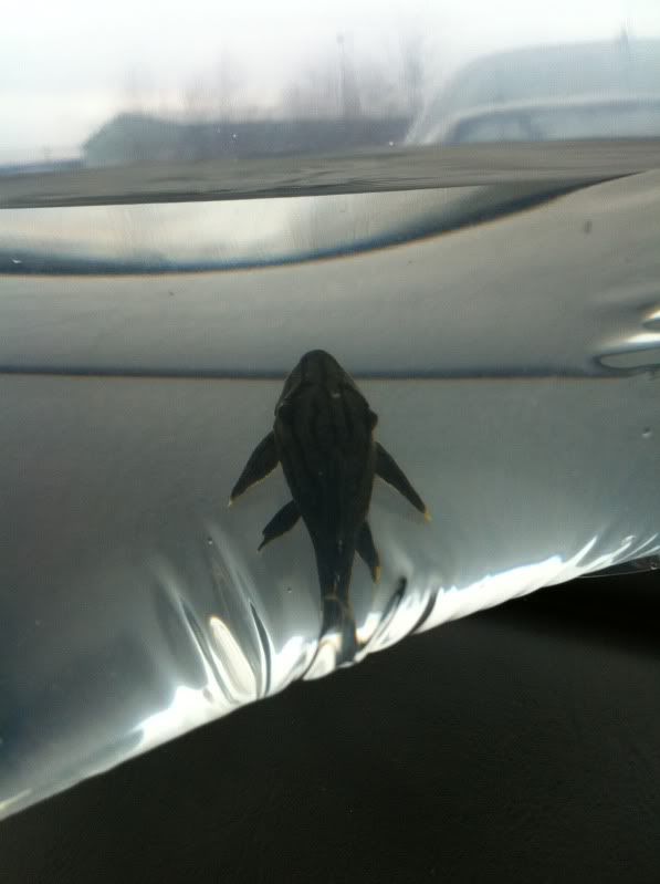 IphonePicsuptoMarch2011245.jpg