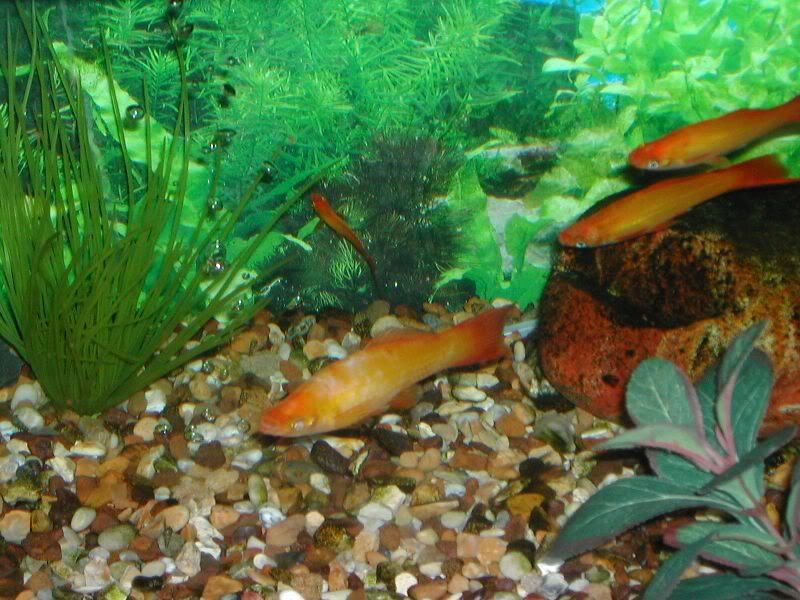 DSCN1889.jpg