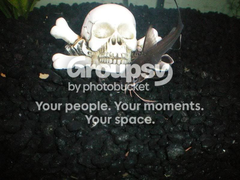PictureorVideo003.jpg