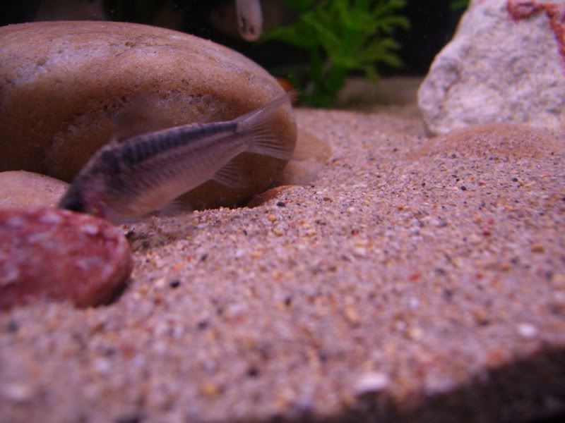 100_0049.jpg