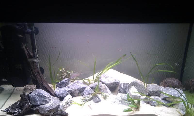 IMAG0831.jpg