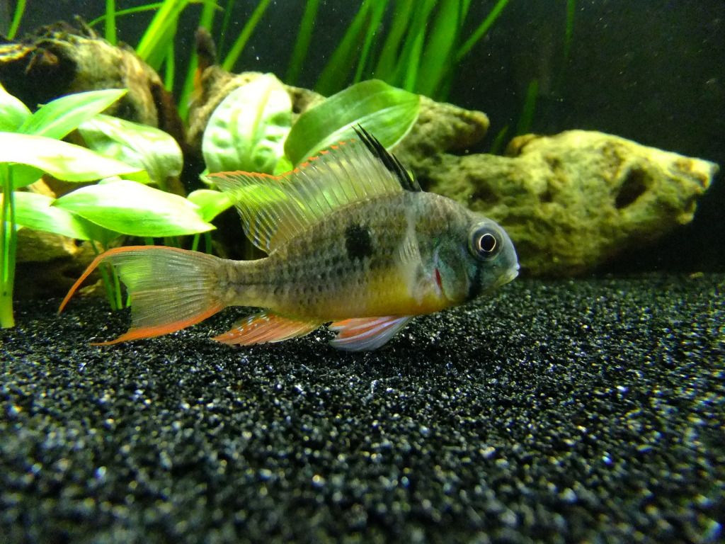 DSCF4292.jpg