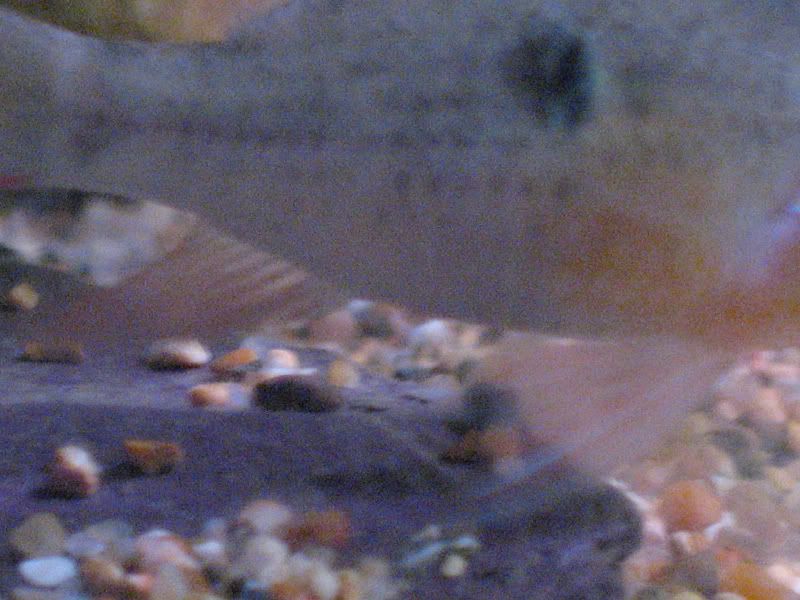 Picture003.jpg