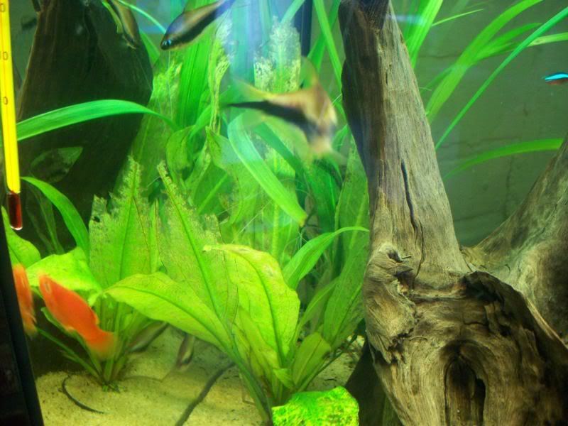100_1627.jpg