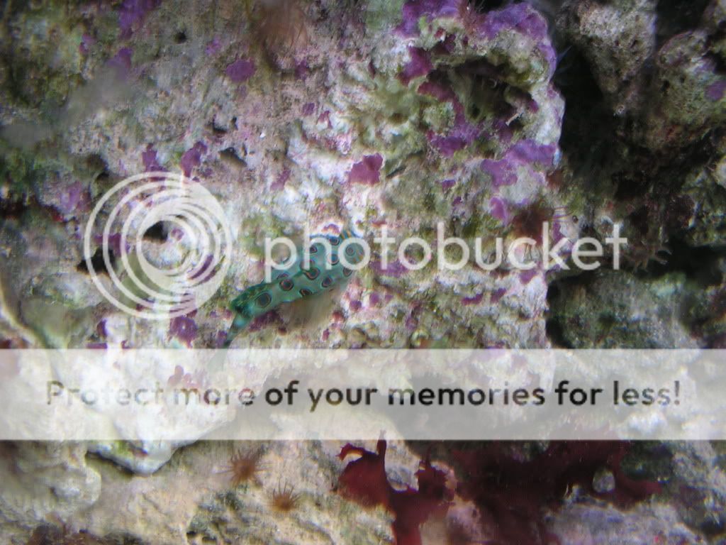 PICT0295.jpg