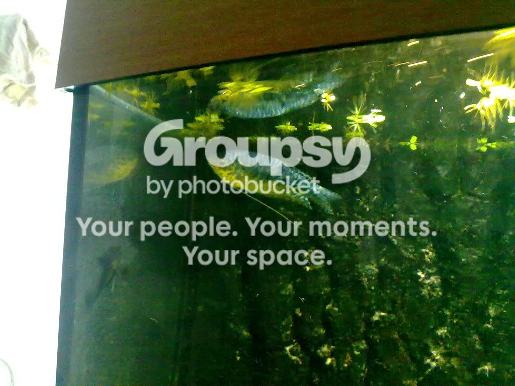 05072009057.jpg