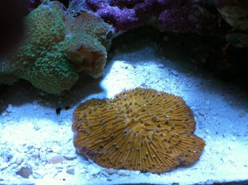 5b80e76a.jpg