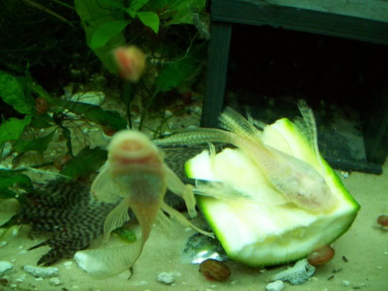 100_0722.jpg