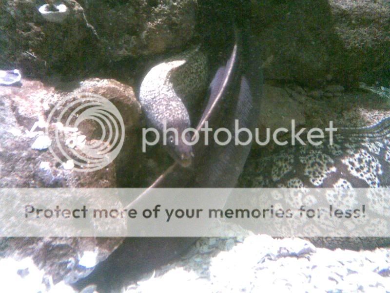 18072006021.jpg