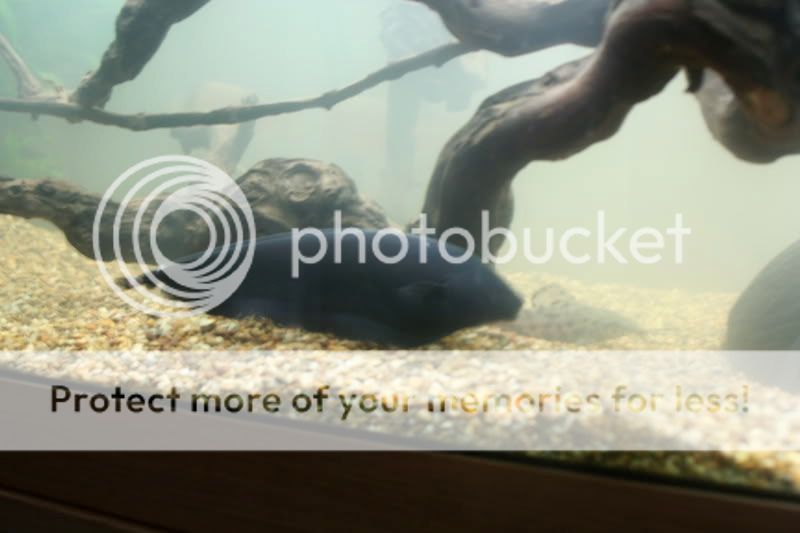 IMG_7712.jpg