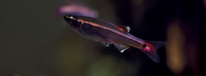 DSC_0007.jpg