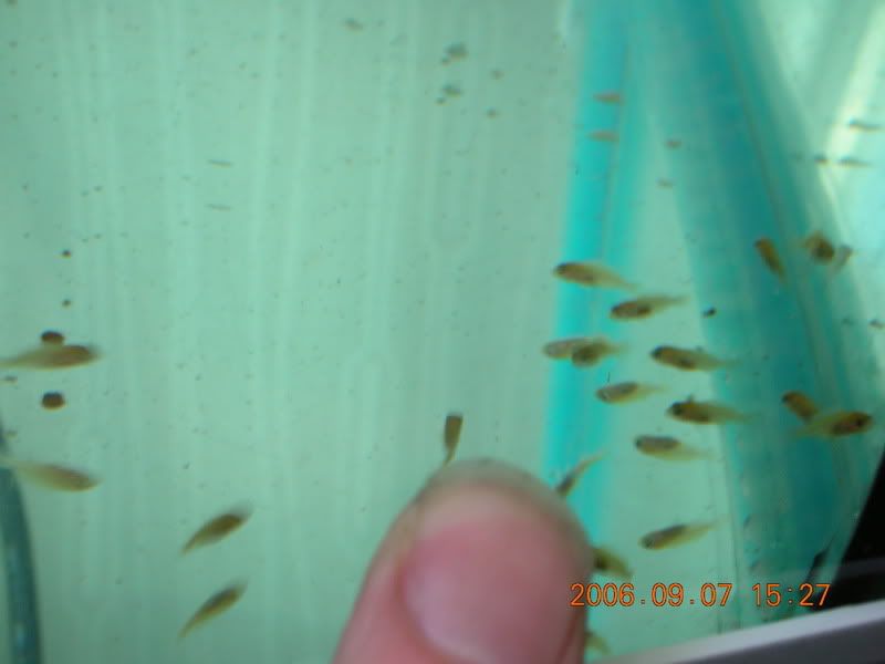 DSCN1129.jpg