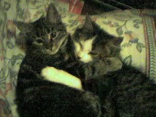 Phonepictures147.jpg