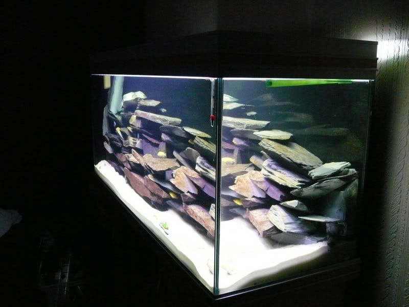 P1010213.jpg