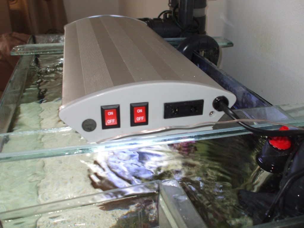 DSCF9077.jpg