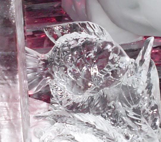 0ice.jpg