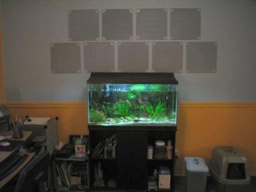 Picture2335015.jpg