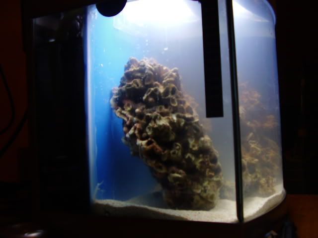 004-1.jpg