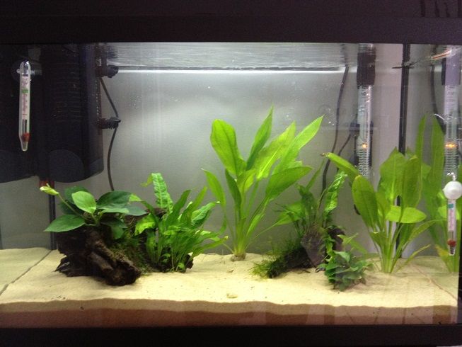 tank1.jpg