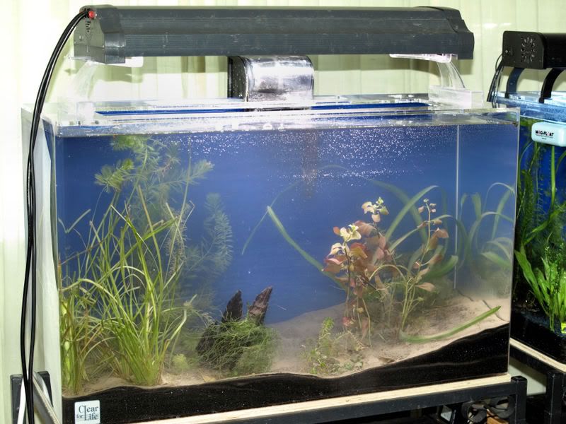 P7231796GaryLangeTank.jpg