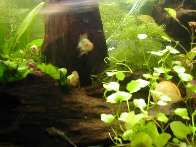 Picture062.jpg