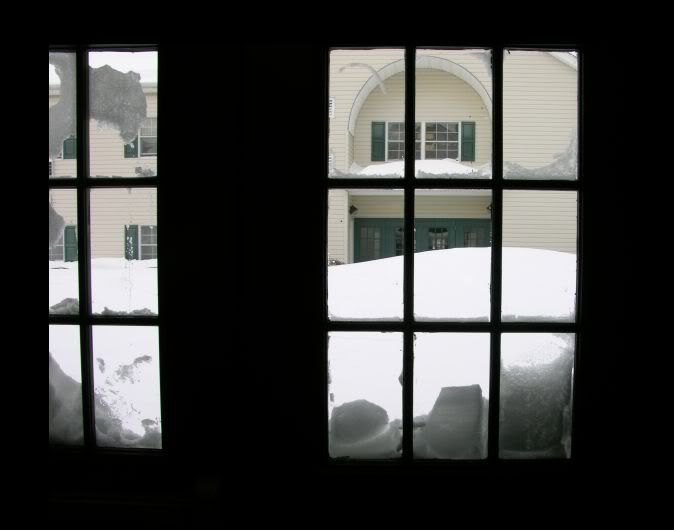 Snow12-20-093.jpg