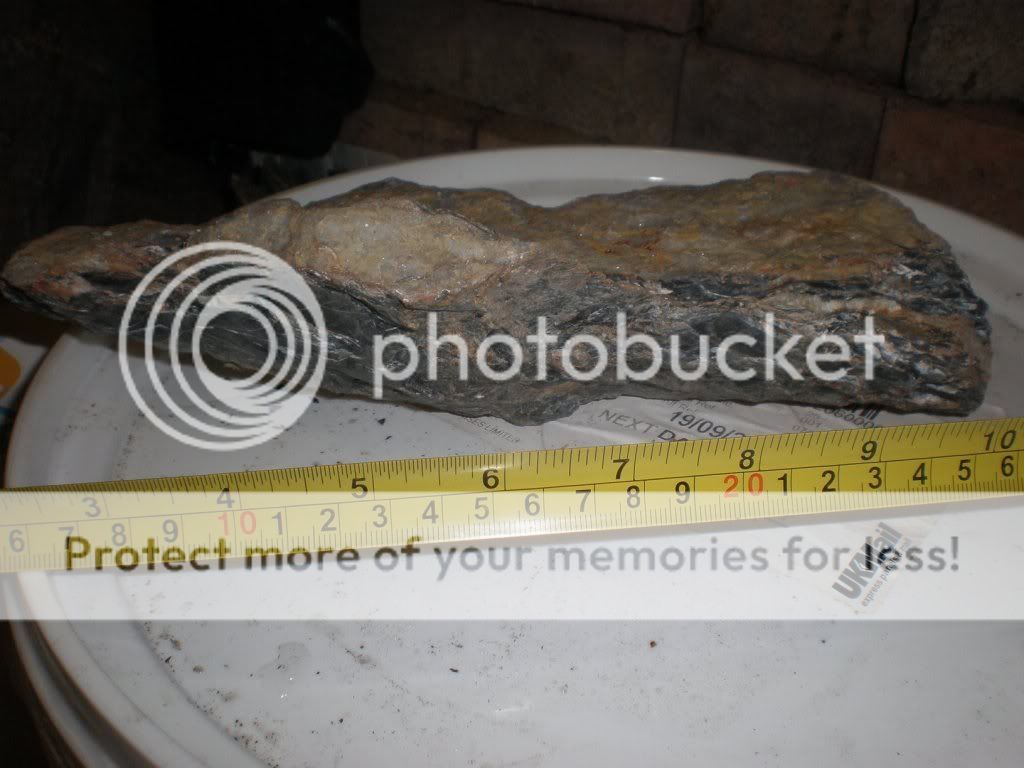 Pa170996.jpg