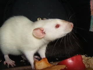 DSCF2865.jpg