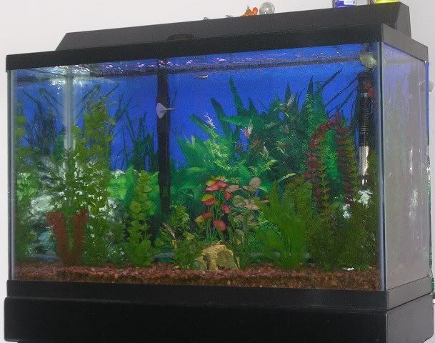 DSCN2492.jpg