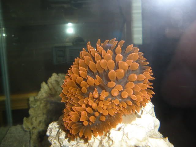 006-9.jpg