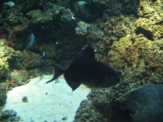 IMG_0696.jpg
