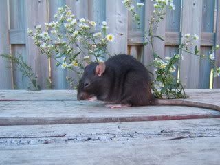 DSCF2979.jpg
