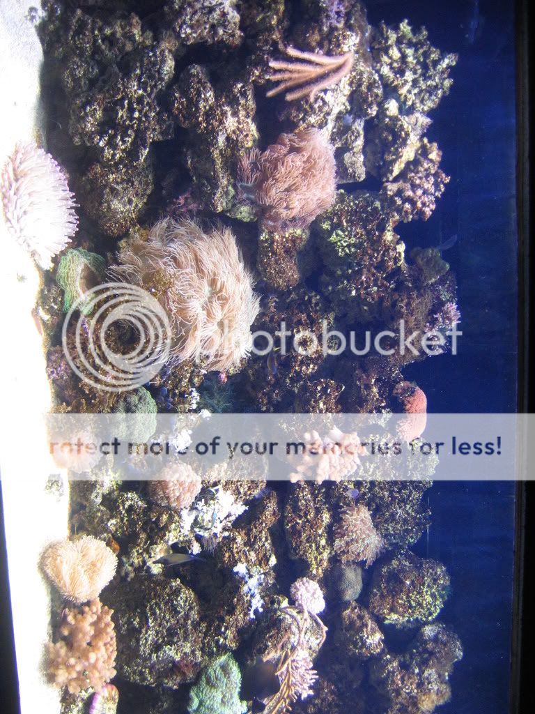 Picture054.jpg