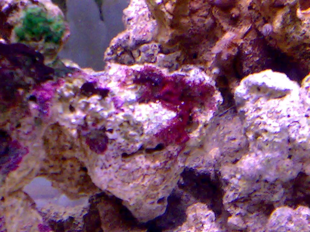 24112008067.jpg