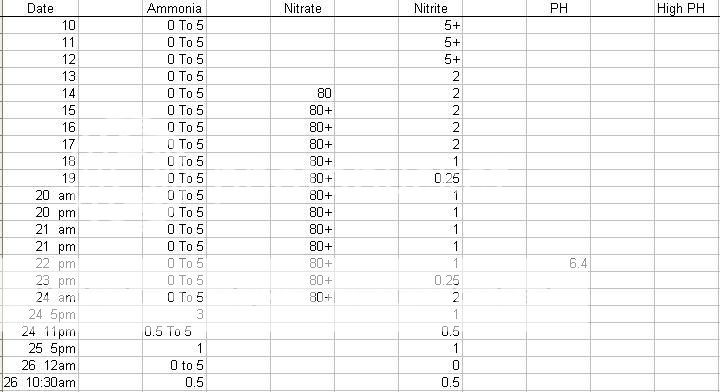 tankresults-2.jpg