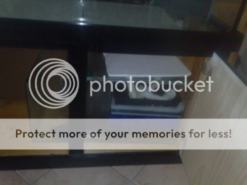 28082009925.jpg