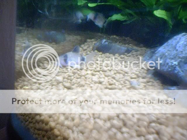 DSC00040.jpg