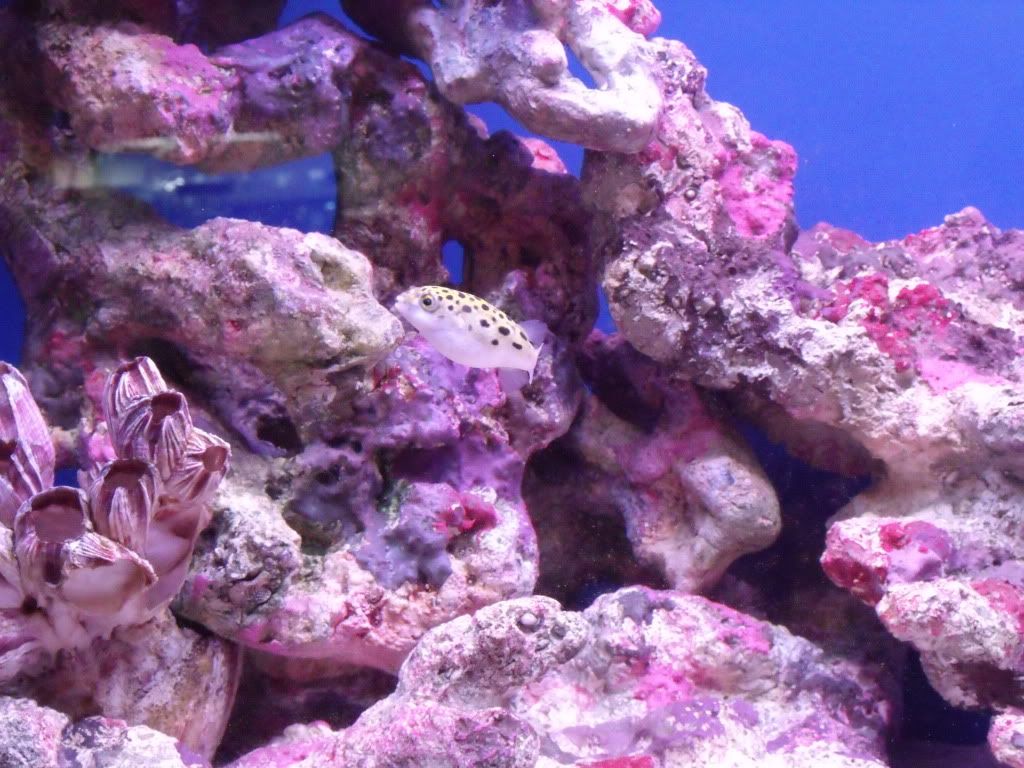 DSCF1198.jpg