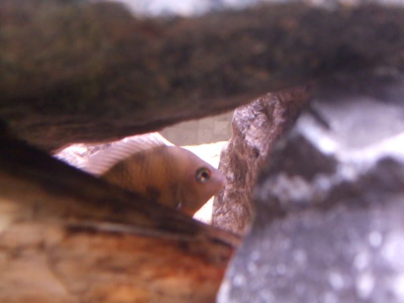 DSCF2029.jpg