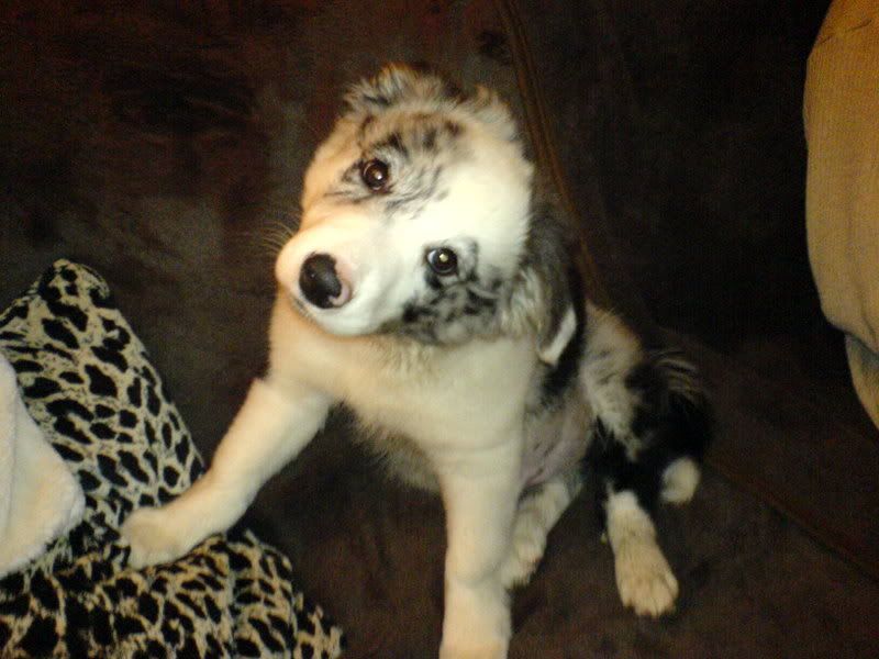 Picture024.jpg
