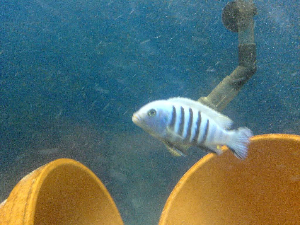 DSC02237.jpg