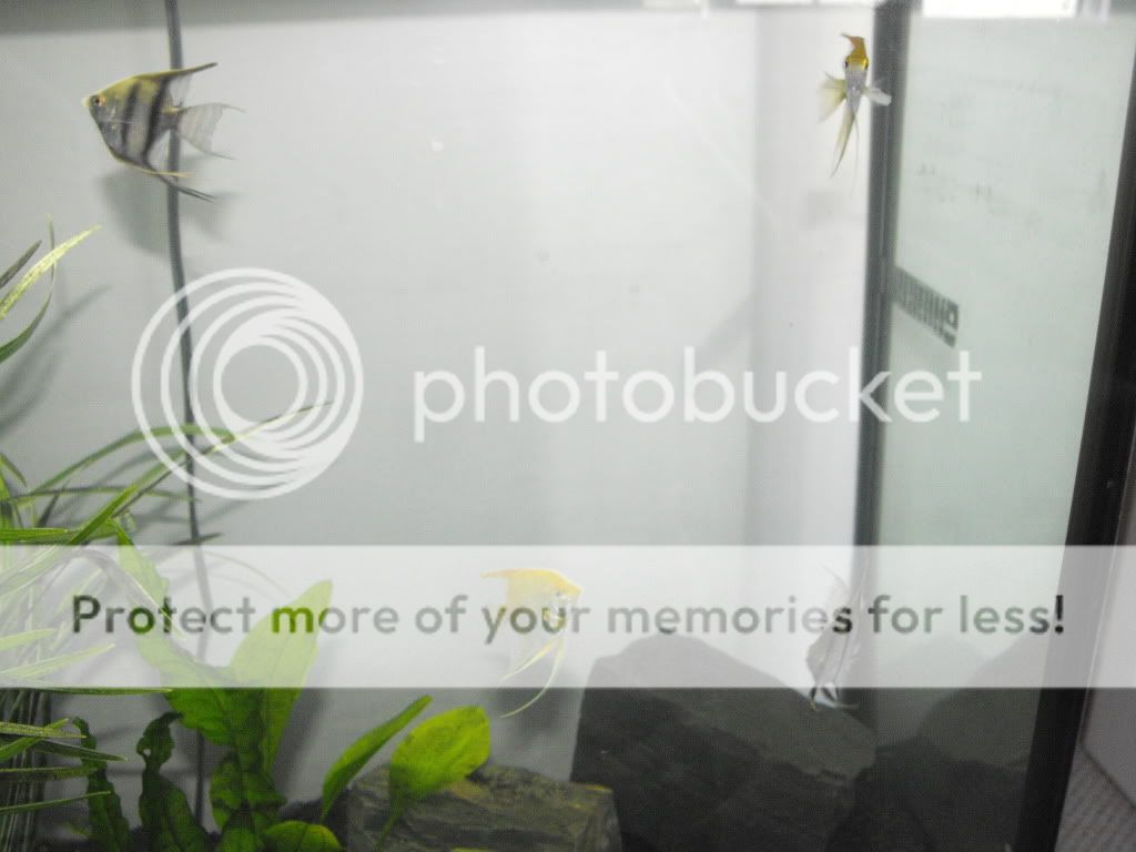 DSCF3577.jpg