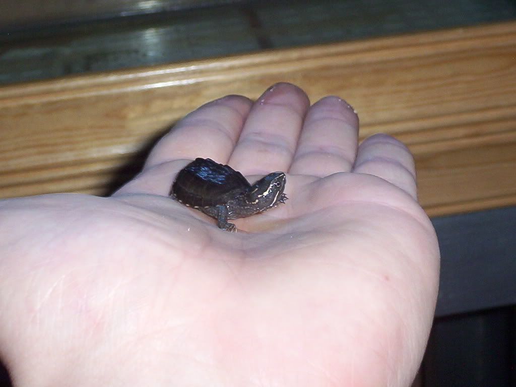 100_2077.jpg