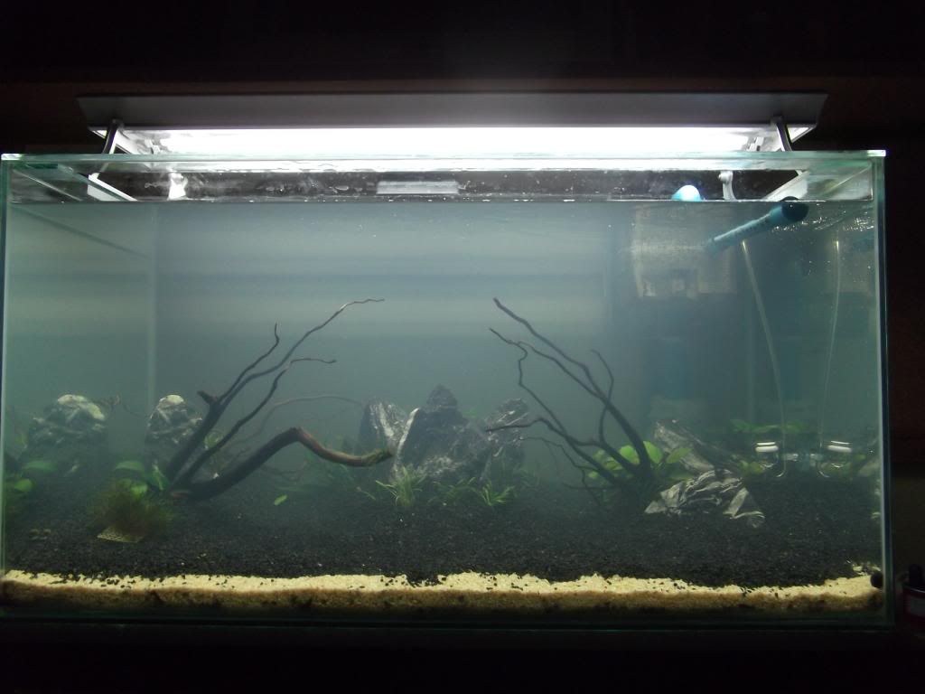 DSCF1633.jpg