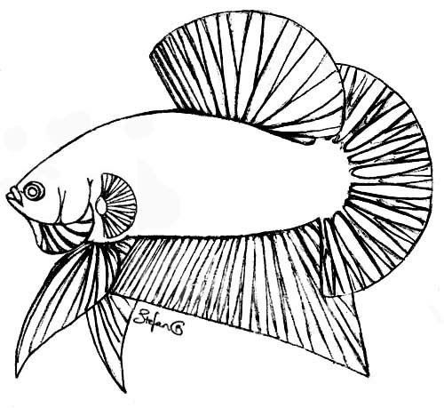 820136f3.jpg