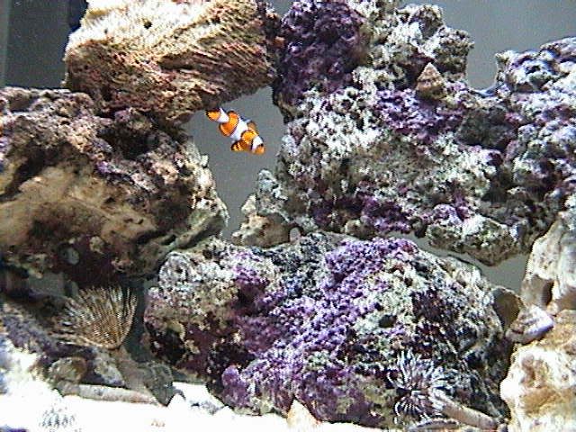 DSC00029.jpg