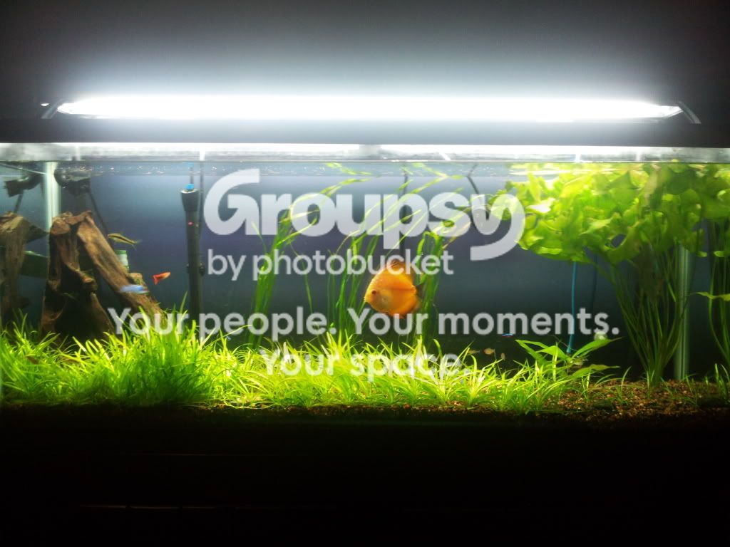 2012-02-25192640.jpg