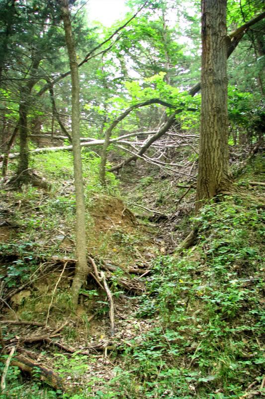 view6.jpg