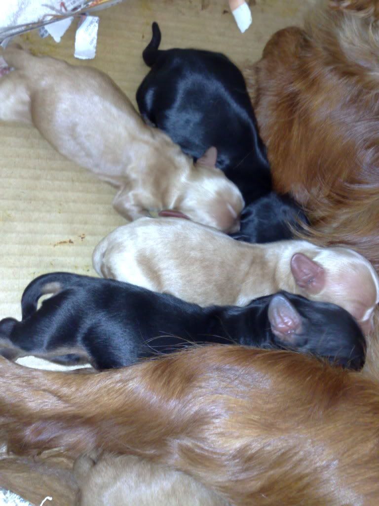 2008-09-05_16-01-00_05092008034.jpg