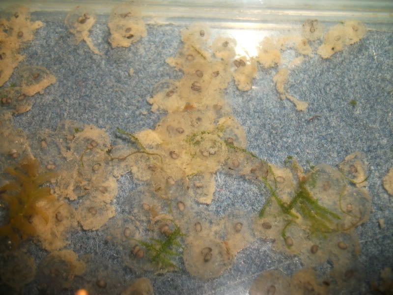 DSCF3230.jpg